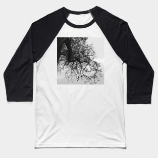 Bare Tree Branches Winter Baseball T-Shirt